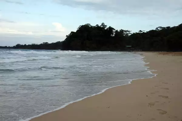 Sandy beach at a lagoon in Panama.