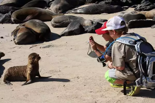 2 young boys on a sandy beach filled with sea lions and 1 young pup posing for a picture.