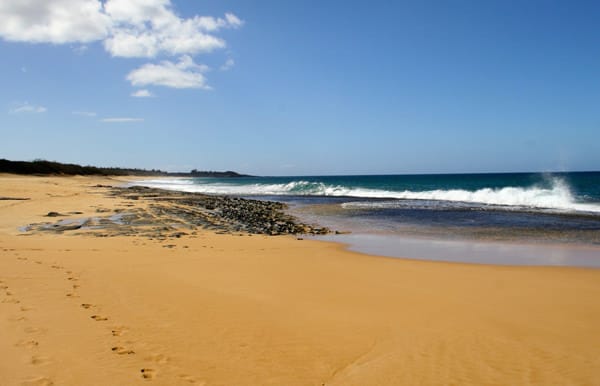 Hawaiian Cruise beach stop with sand and waves crashing