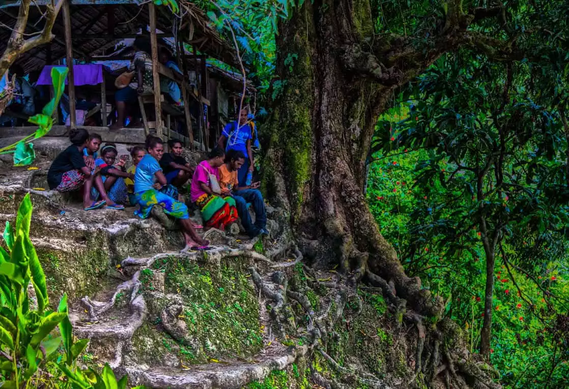 Local villagers hanging out by a tree with overgrown roots on an island in the south pacific seen on a tour from a small cruise ship. 