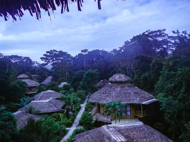 View looking down into the jungle and thatched roofed huts at La Selva Lodge.