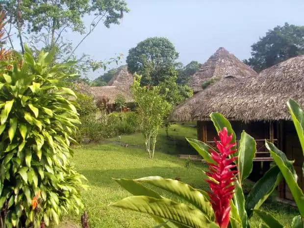 A view of La Selva EcoLodge with thatched roofed huts in a garden.
