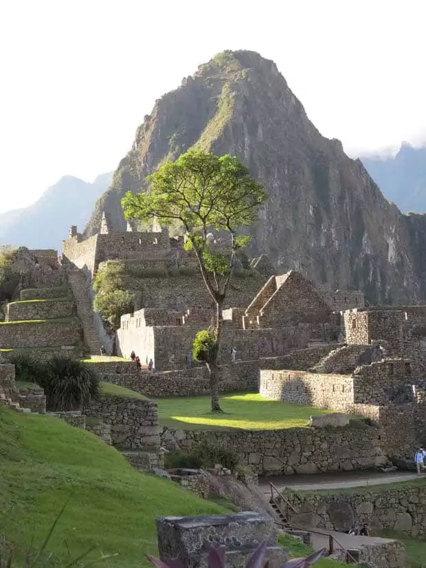 View of ancient stone ruins of Machu Pichu with a towering mountain peack in the background.