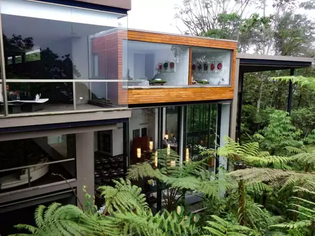 View of Mashpi Lodge with floor to ceiling windows and fern trees from the front.