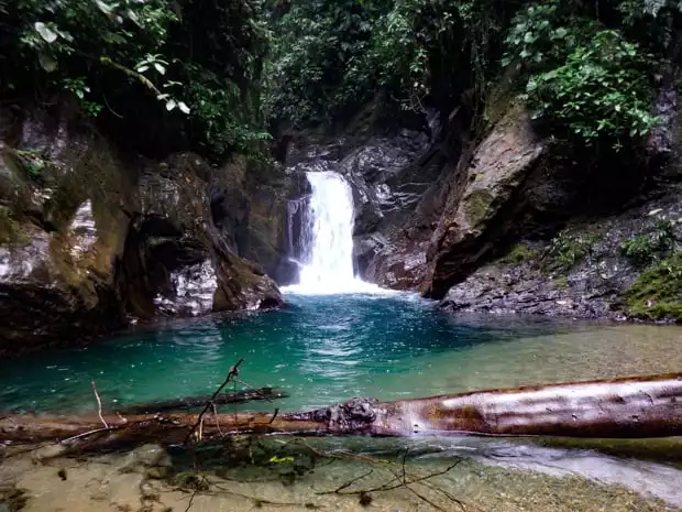 A waterfall and deep blue pool of water in the rainforest.
