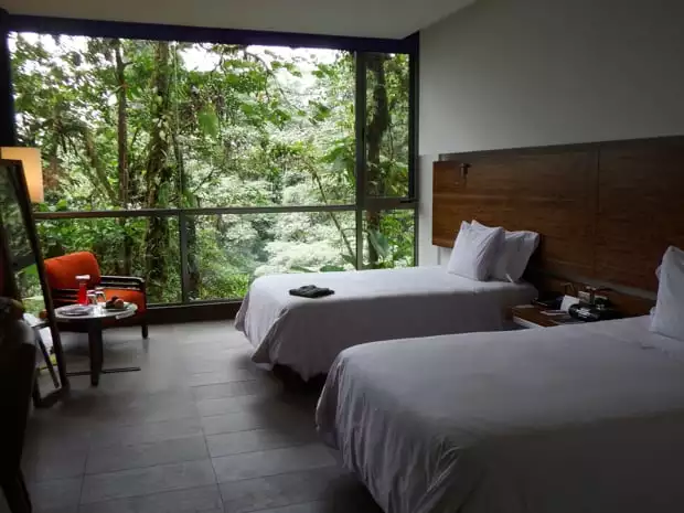 Room with 2 beds, floor to ceiling windows, table and chair and a view of the rainforest outside.