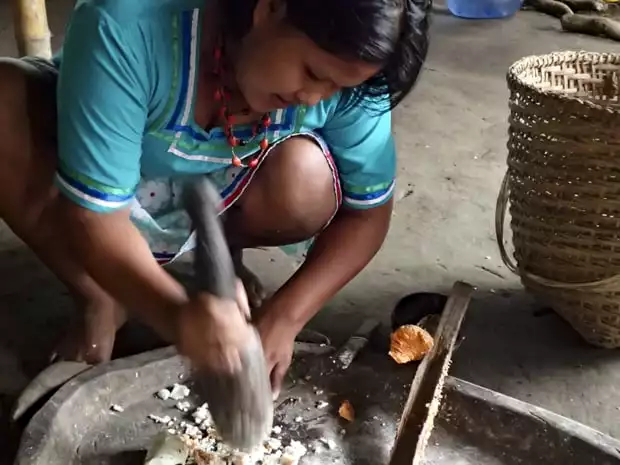 A aboriginal woman making a meal in  a large native stone pan.
