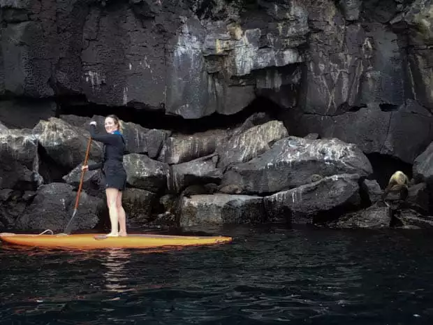 Galapagos traveler paddleboarding off a rocky shoreline with sea lions resting on the rocks.