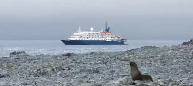 Small expedition ship in Antarctica with seal on rocky beach in front. 