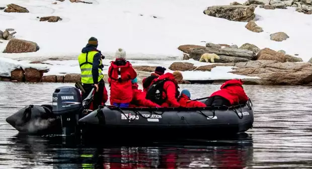 A group of people on a motorized raft looking at a polar bear