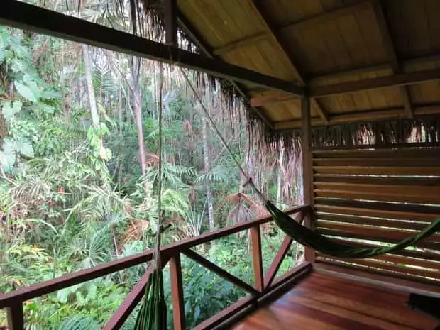 A deck with hammocks in the middle of a Amazon jungle.