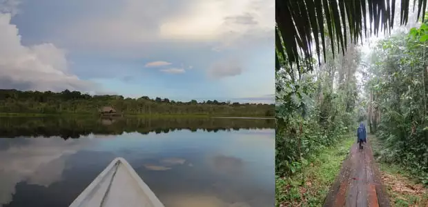 The tip of a small boat floating on a lagoon and a traveler walking on a boardwalk in the Ecuadorian Amazon jungle.