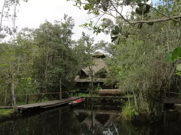 A view of Sacha Lodge from the water in the Ecuadorian Amazon jungle.