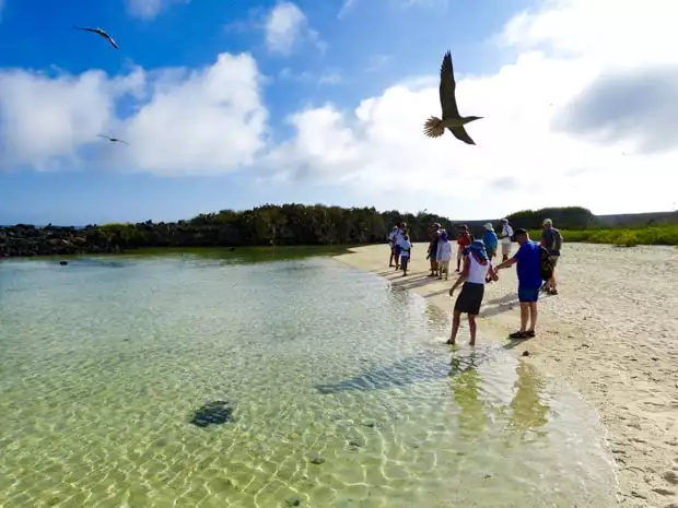 A group of Galapagos travelers on a sandy shoreline with sea birds flying above their heads on a Galapagos island.