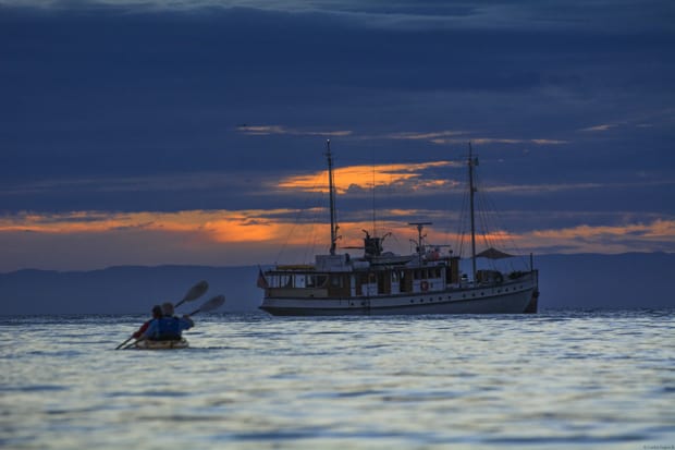 Baja travelers kayaking back to the Westward small ship cruise at sunset.
