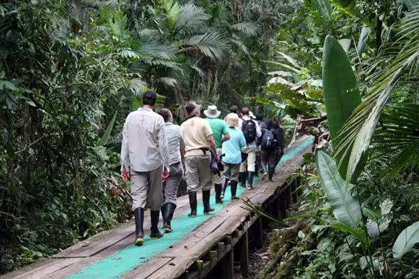 A group of people walking along a trail in the Ecuadorian Amazon jungle. 