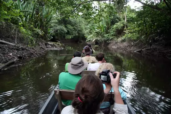 A group of people on a canoe ride on the Ecuadorian Amazon river. 