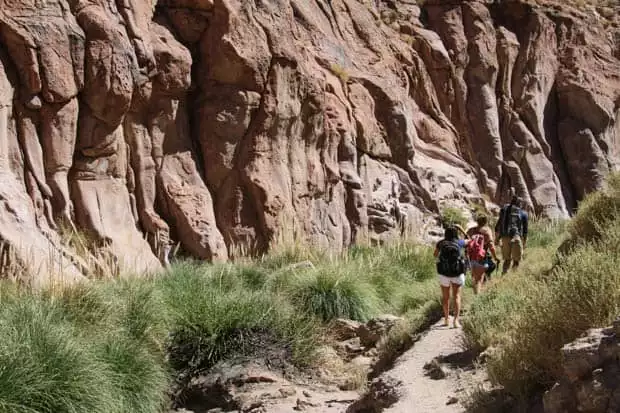 Group of Chile travelers hiking though a canyon with red rock and green grasses.