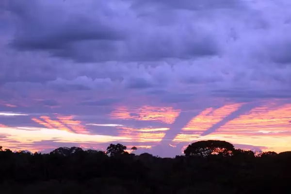 Purple-orange Ecuadorian Amazon sunset. 