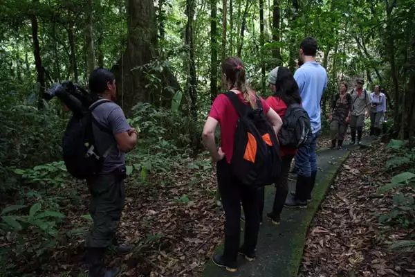 A guide leading a group of people on a trail through the Ecuadorian Amazon jungle. 
