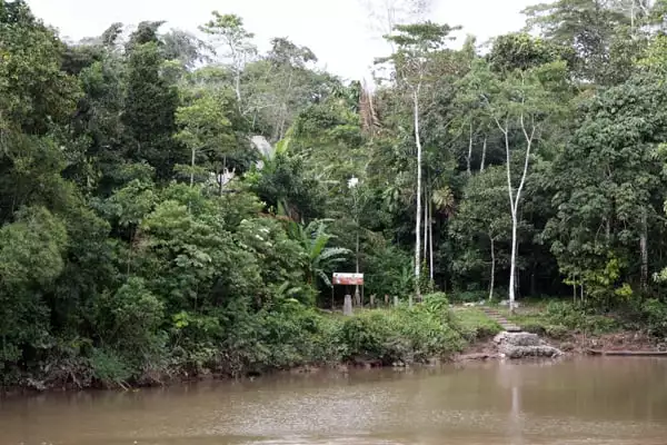 The docking area for a motorized canoe ride down the Ecuadorian Amazon River. 