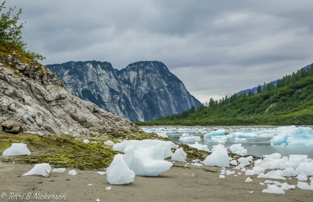 Icebergs and bergie-bits washed ashore and floating with large Alaskan mountain range and rainforest.