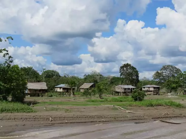 A row of stilt houses in the Peruvian Amazon jungle. 