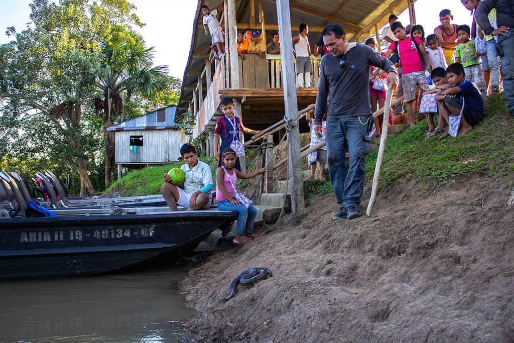 A male guide releases an Anaconda snake on the sandy shore with children watching