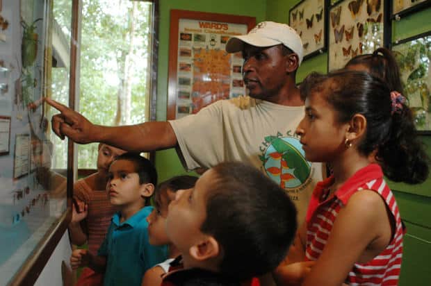 Children learning about native rainforest species with their local guide. 