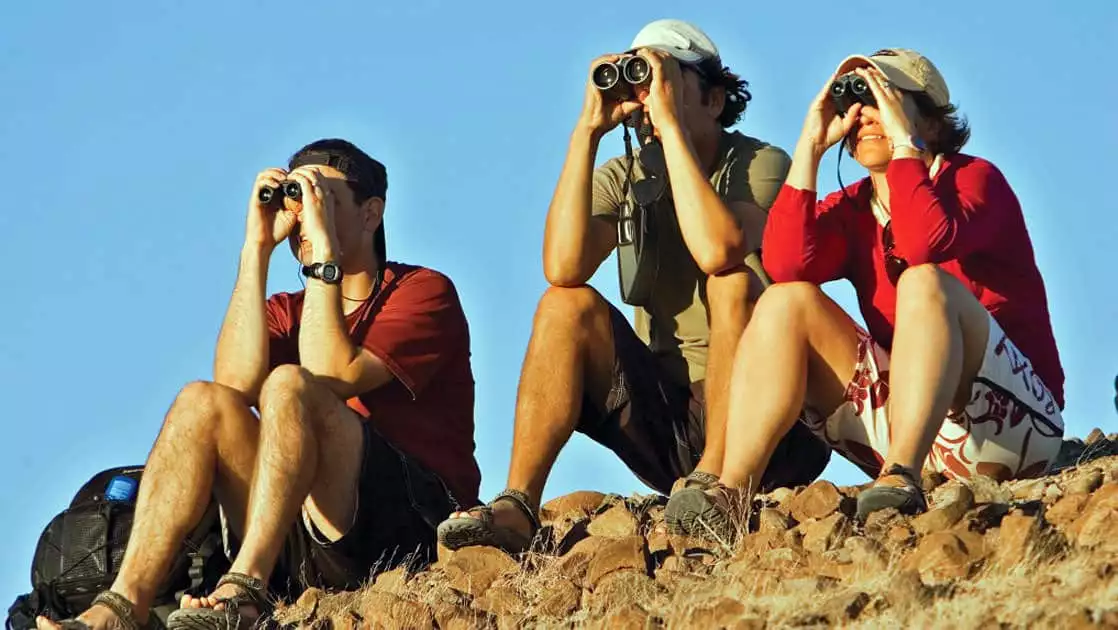 group of baja travelers with binoculars