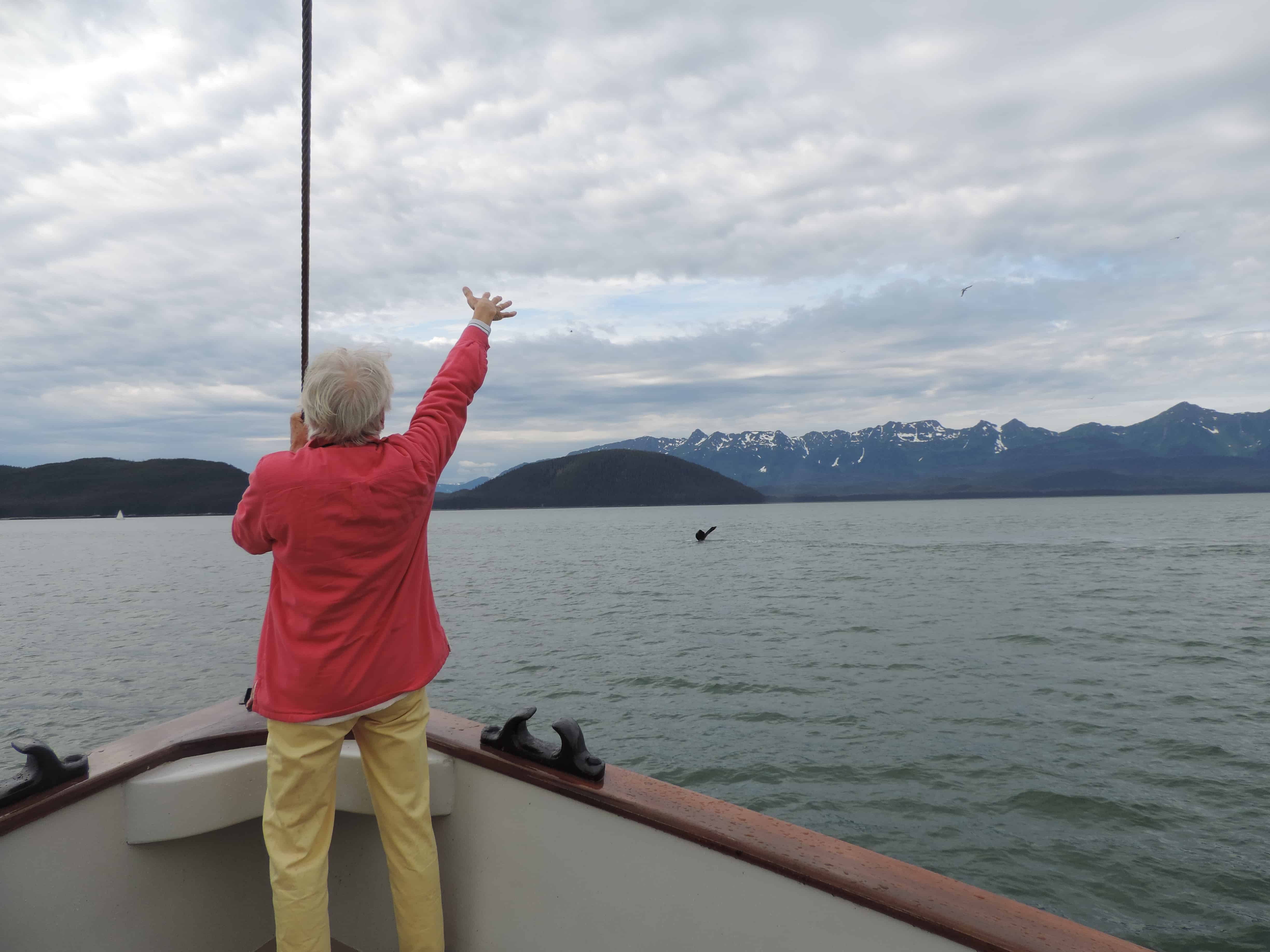 Excited guest at the bow of a small ship cruise watching a nearby whale breaching in Alaska. 