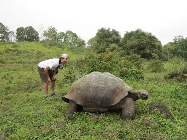Traveler leaning over a giant land tortoise in a grassy field in the Galapagos.