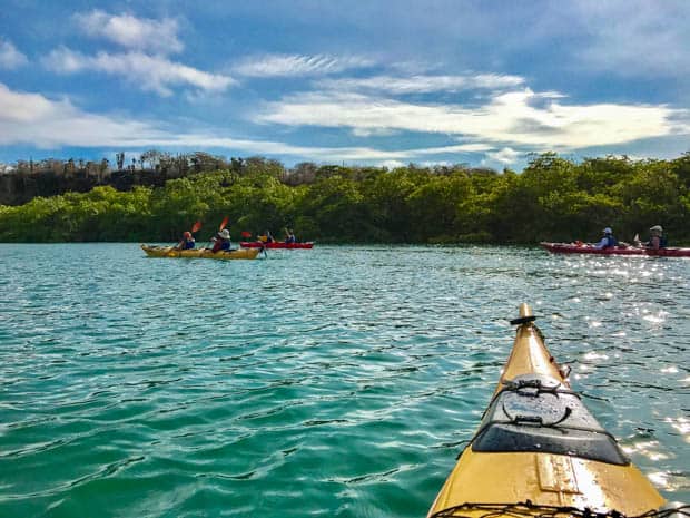 Group of travelers kayaking in the ocean.