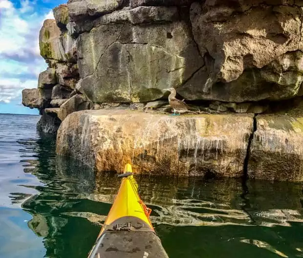 Tip of a yellow kayak floating in the Galapagos water in front of a tall rock formation