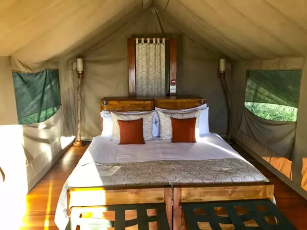 Galapagos land tour safari tent from the inside with a bed and open air netted windows.