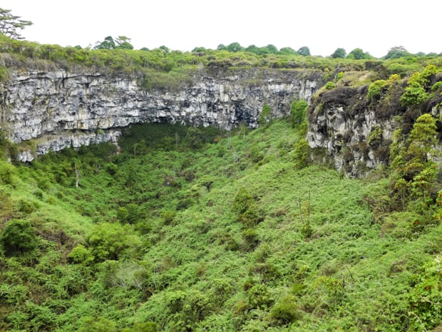 Scenic view of a rocky ridge covered with green plants and a valley floor below covered in thick green plants.