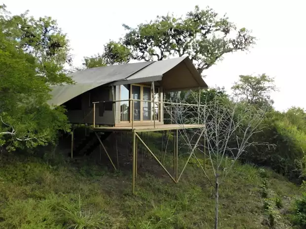 Safari style tent camp surronded by trees raised on top of a sloping hillside.
