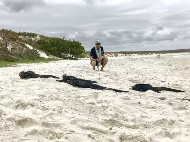 Galapagos traveler looking at 4 black marine iguanas crawling up a sandy beach.