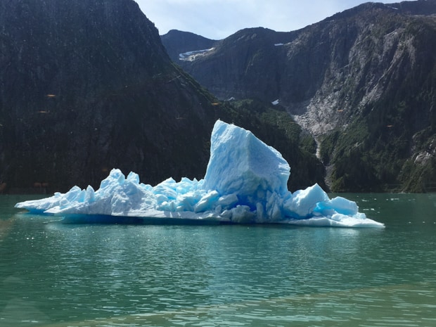 Blue iceberg in the green fjord waters seen from a small ship cruising in Alaska. 