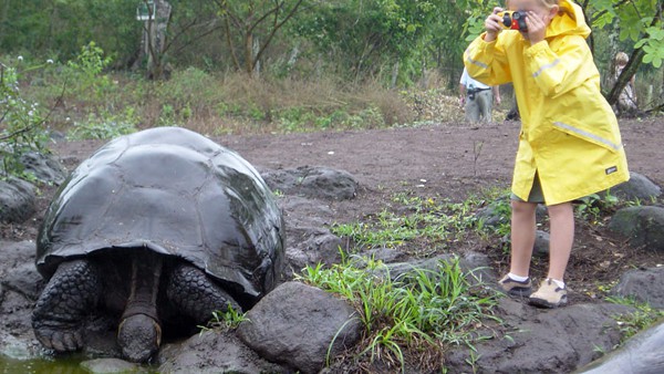 Child photographing Galapagos tortoise while on a walk