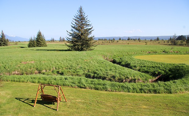 Property at Bear Track Inn wilderness lodge in Gustavus Alaska and a wood swing overlooking the green meadow. 