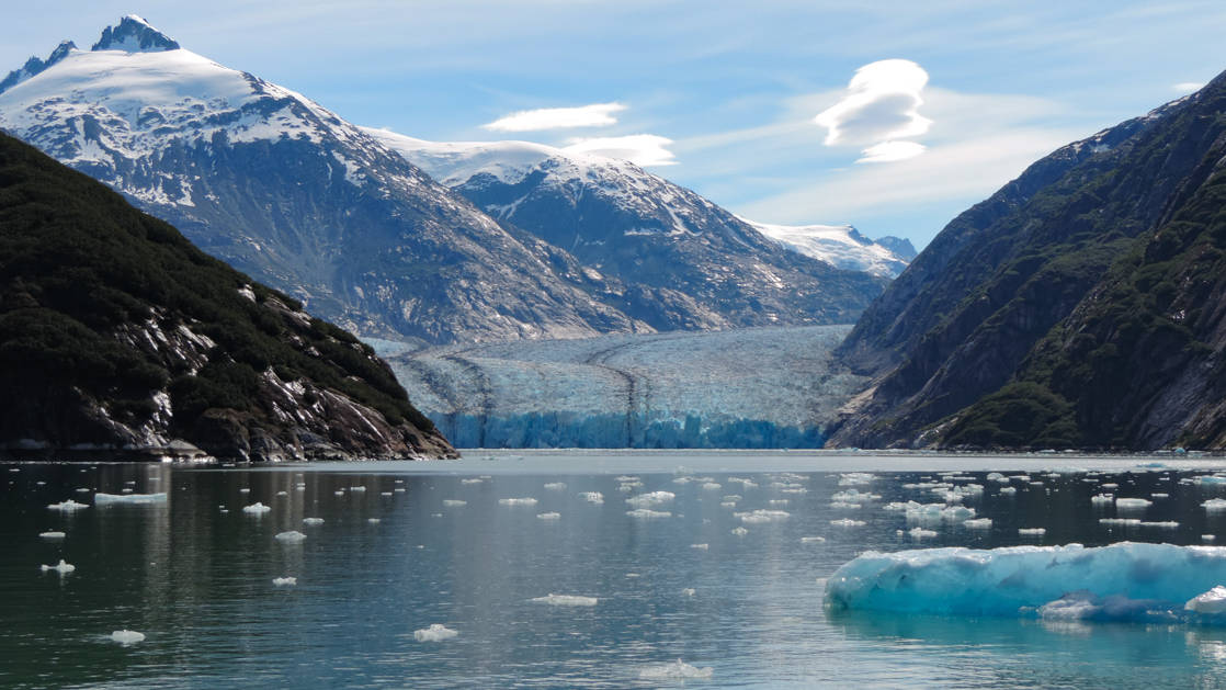 Discover Glacier Bay National Park Cruise | AdventureSmith Explorations