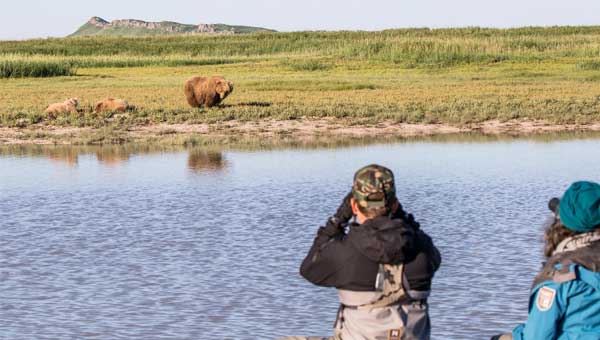 Two travelers with binoculars look over a river at brown bear with two cubs in the grass at Katmai National Park