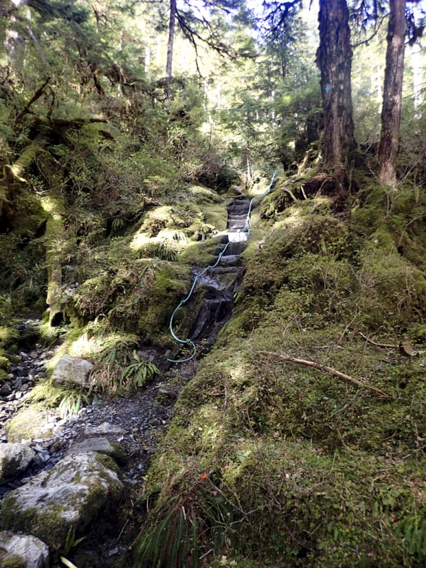 A rope to help hikers up the slippery wet rocks on a forest hike in Alaska. 