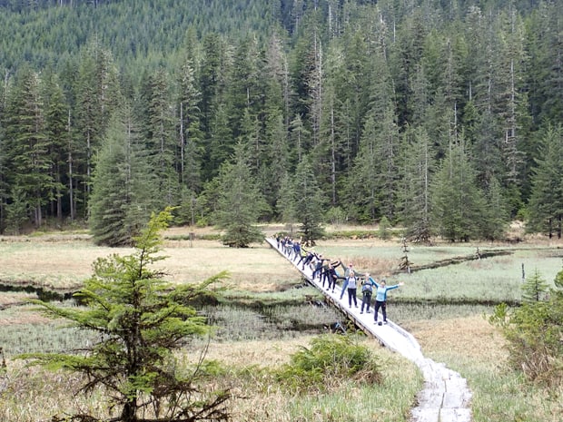 Group of guests from a small ship cruise in Alaska posing on a boardwalk during their forest hike. 