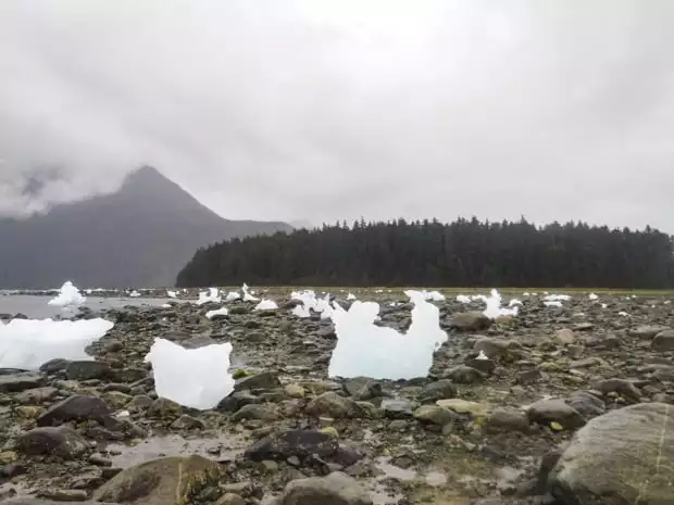 Ice on the rocky shore outside of Le Conte Glacier in Alaska. 