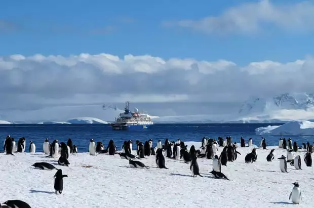 Penguins seen on a land tour to Cuverville island with small ship in background. 