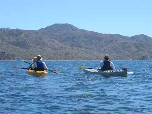 small ship cruise passengers kayak in open water on a sunny day in baja california