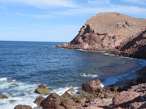 sunny day in magdalena bay baja california with water lightly washing against a rocky shoreline