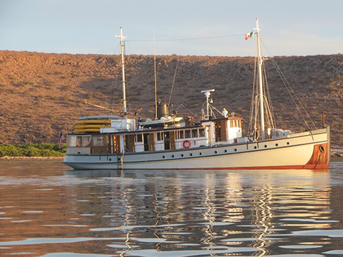 westward baja small ship sits anchored on calm water on a sunny day